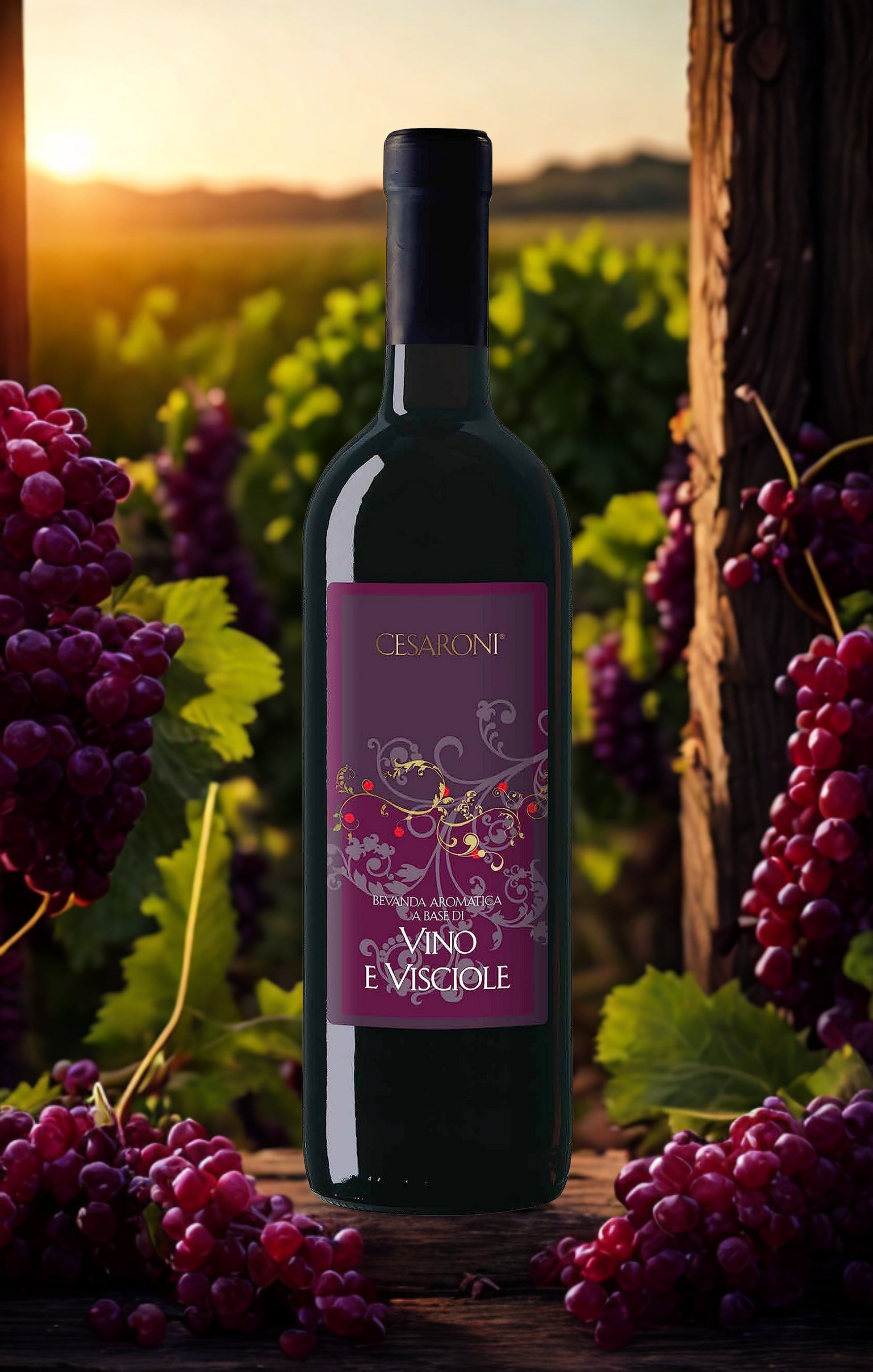 VINO E VISCIOLE