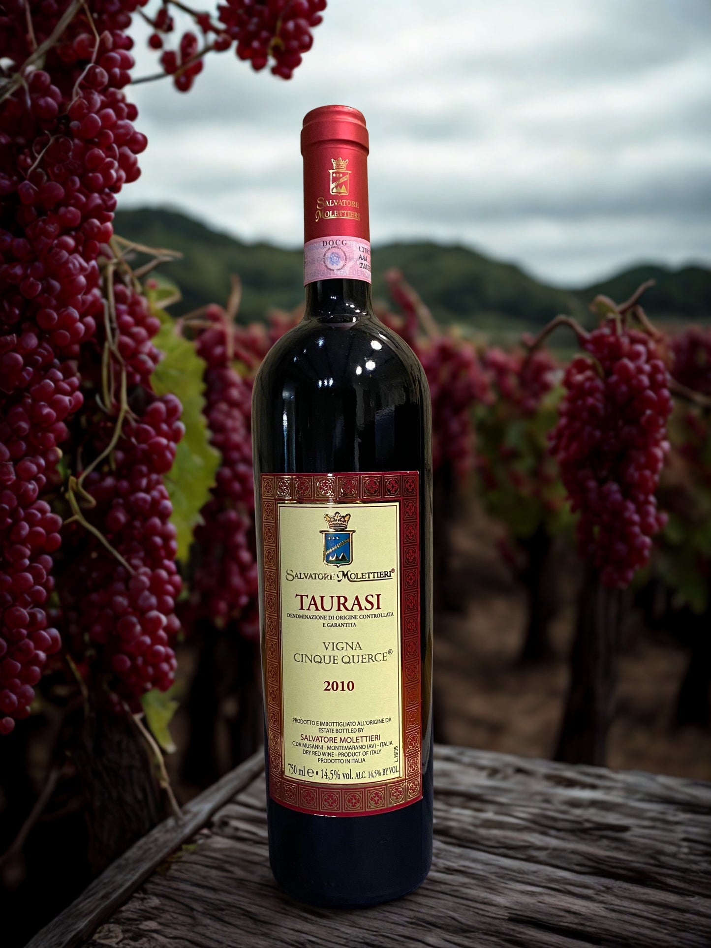 VIÑEDO AGLIANICO TAURASI CINCO QUERCE 2010-SALVATORE MOLETTIERI