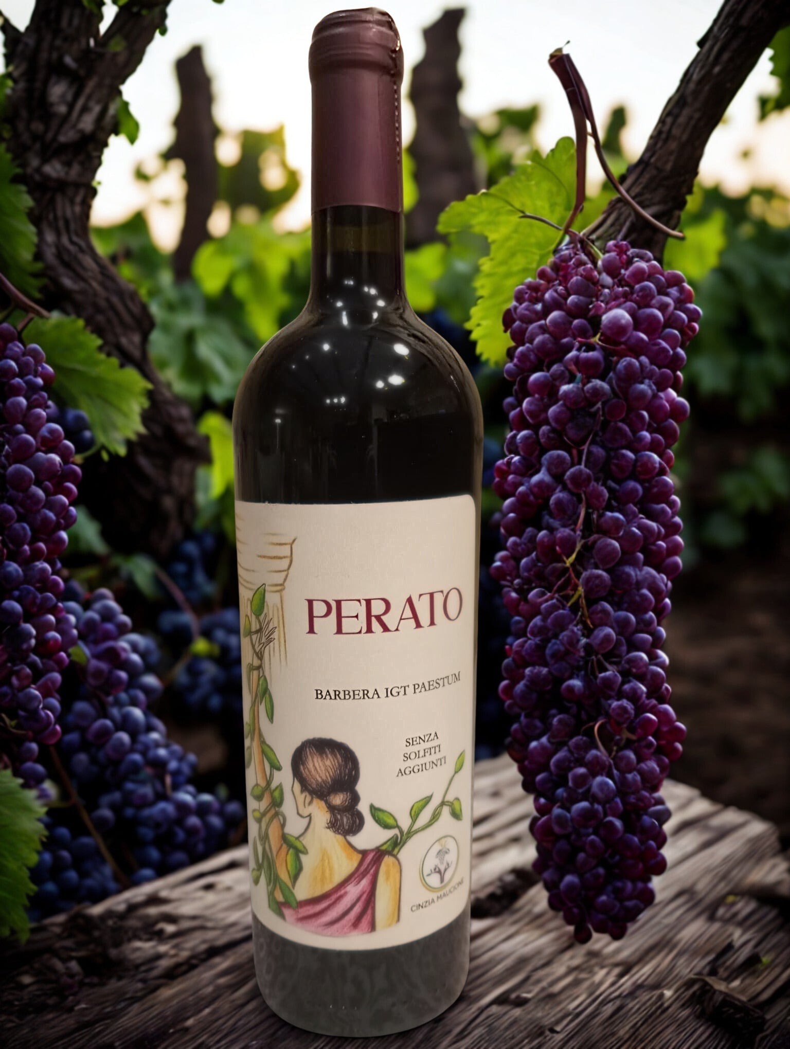 PERATO IGT Cinzia Maucione