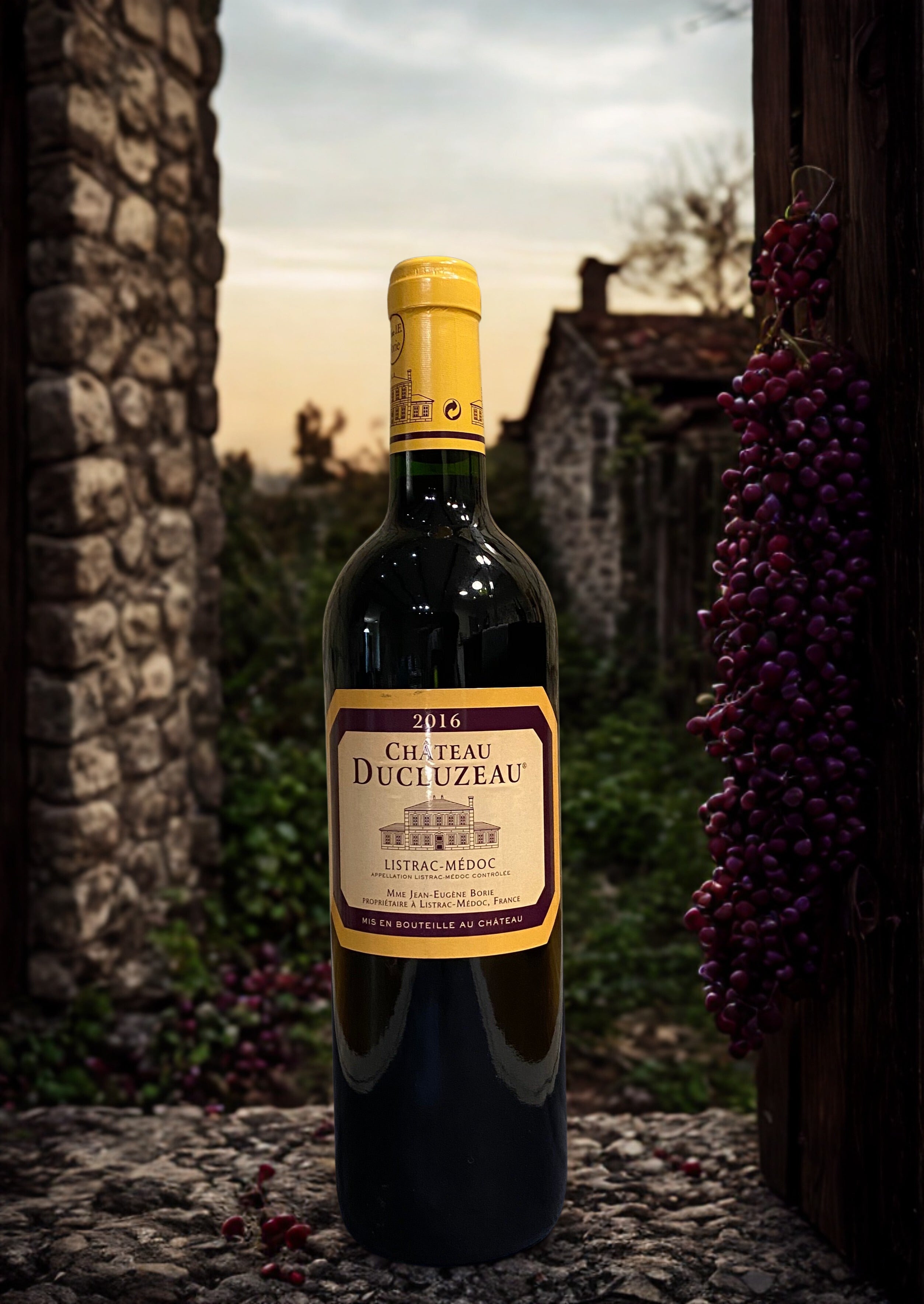 MERLOT LISTRAC MEDOC 2016 CHATEAU DUCLUZEAU