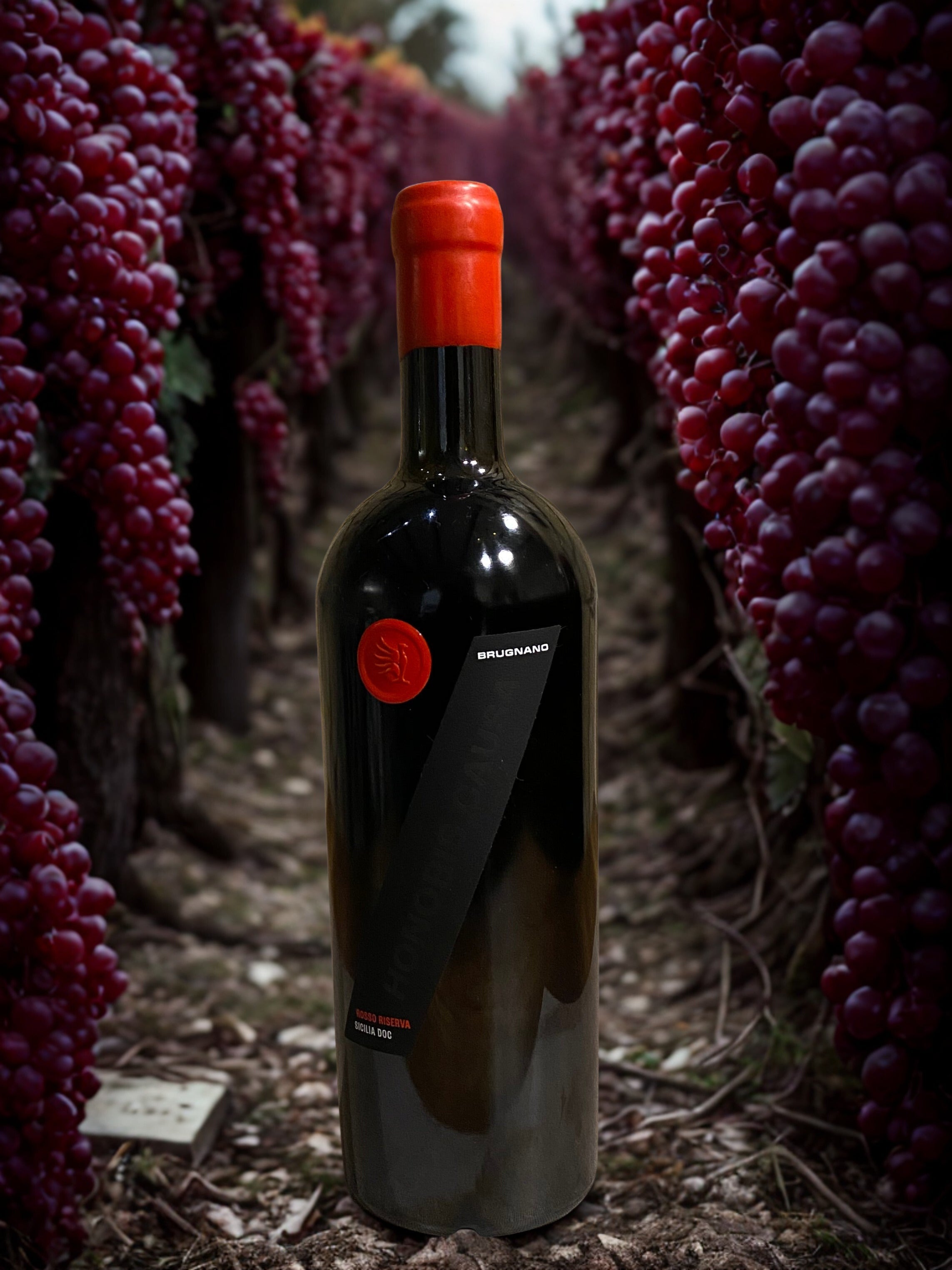 HONORIS CAUSA ROSSO RISERVA 2018-BRUGNANO BRUGNANO