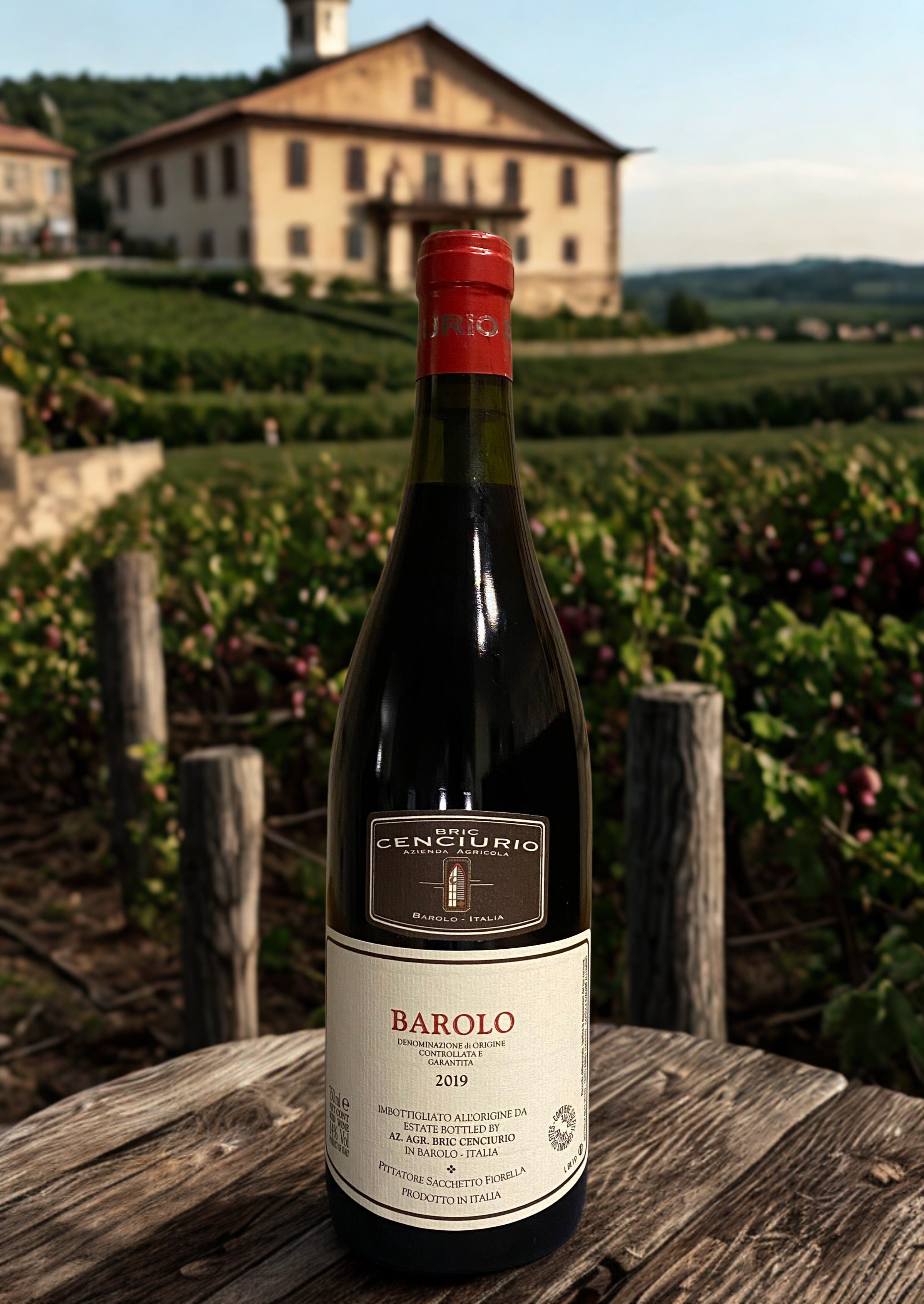NEBBIOLO BAROLO 2019 Monte tondo