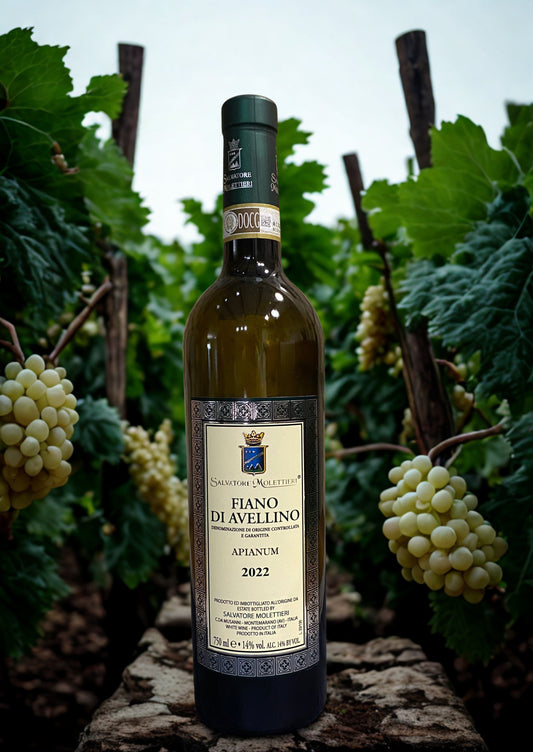 FIANO DI AVELLINO APIANUM 2022-SALVATORE MOLETTIERI