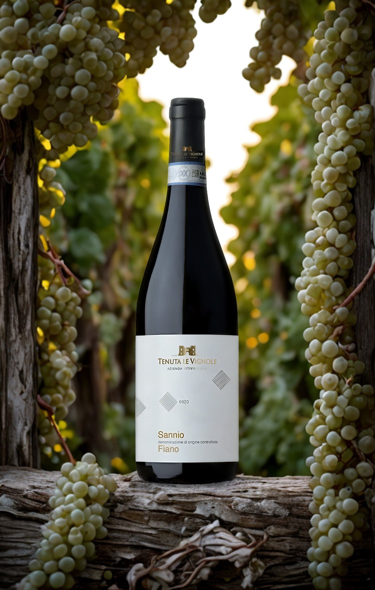 FIANO DEL SANNIO DOC