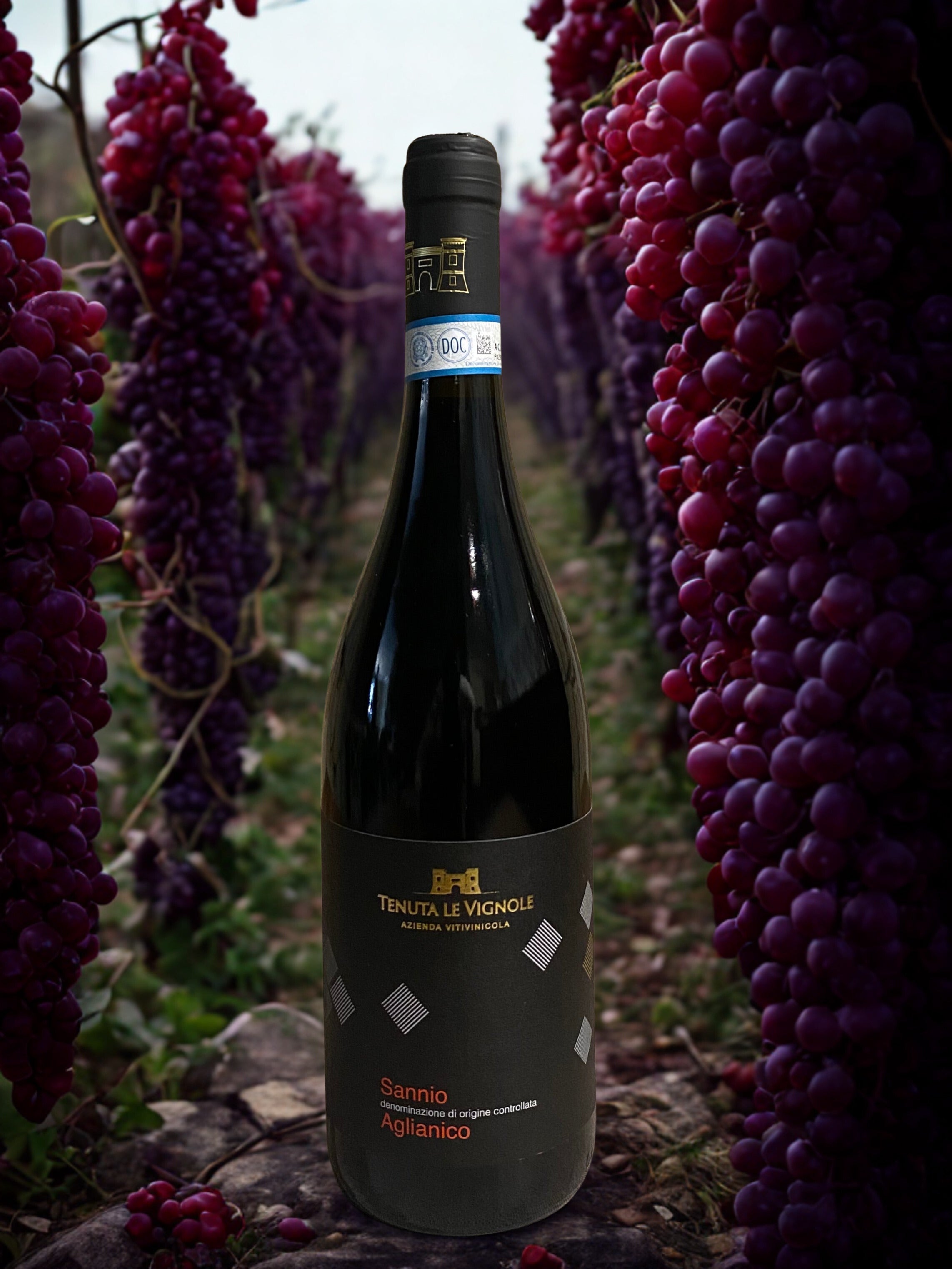 SANNIO AGLIANICO DOC-TENUTA LE VIGNOLE TENUTA LE VIGNOLE