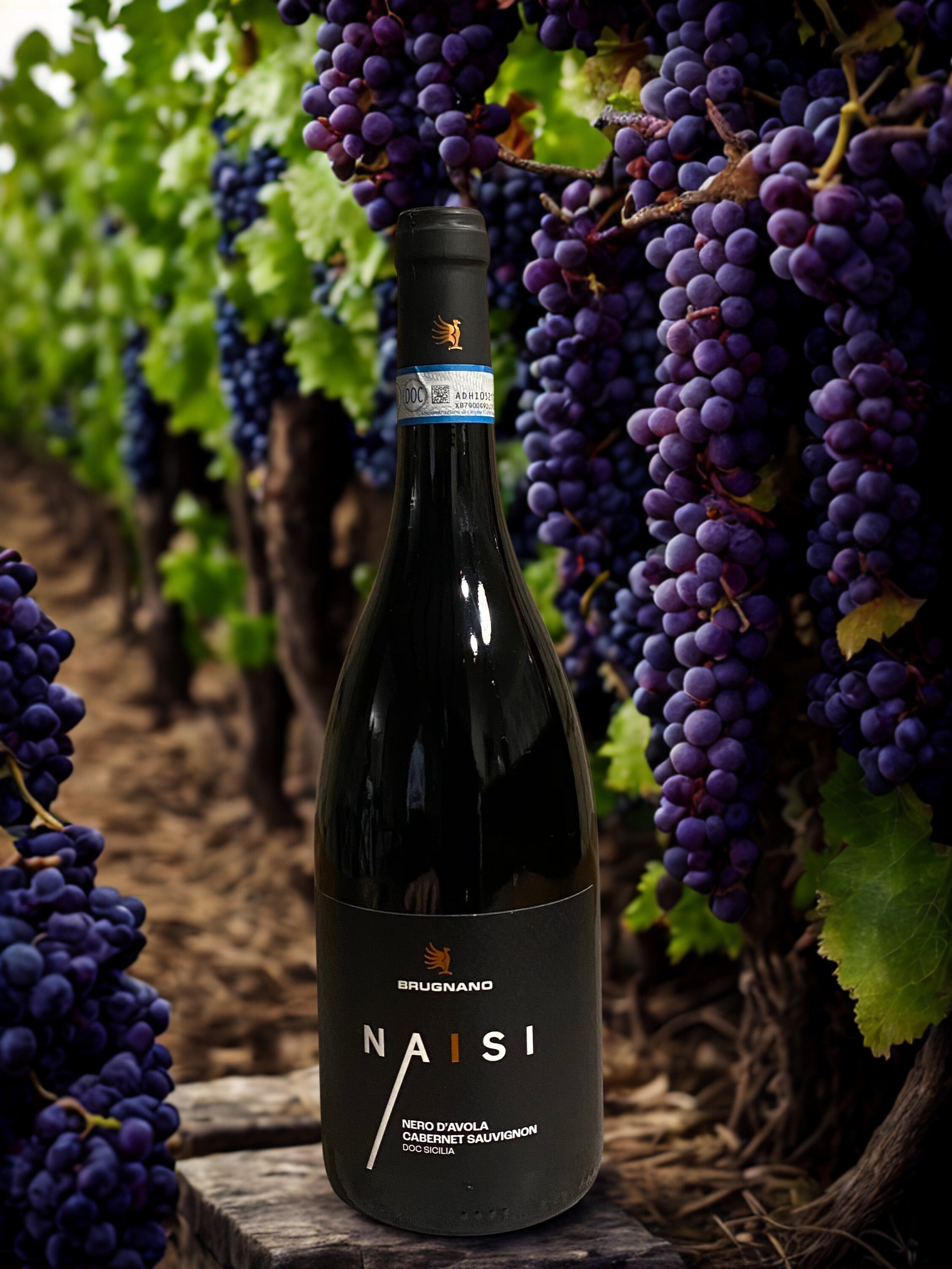 NAISI-BRUGNANO BRUGNANO