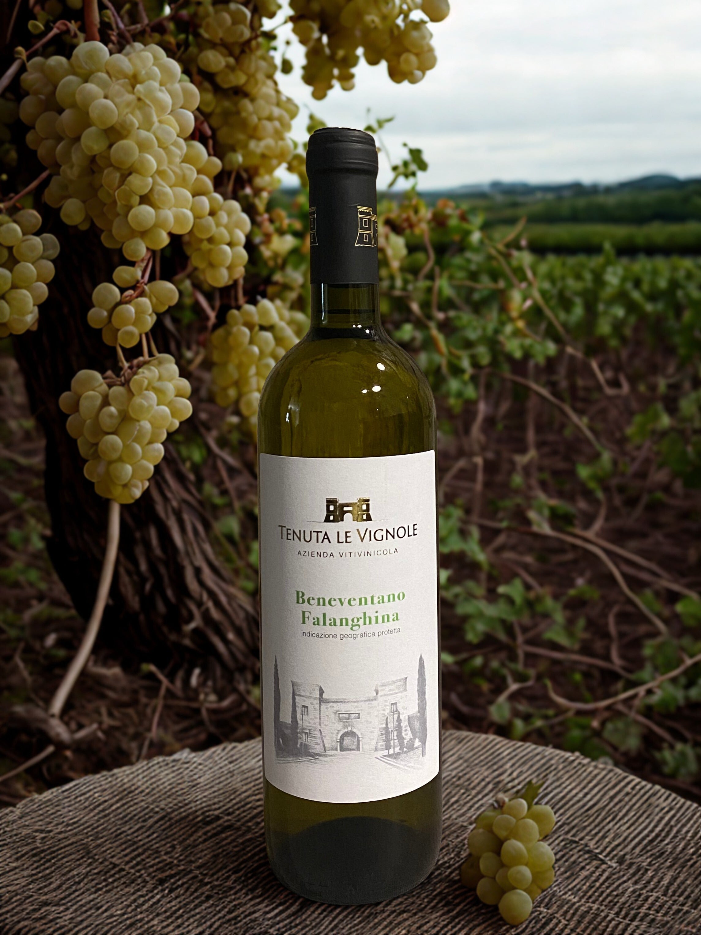 BENEVENTANO FALANGHINA IGP-TENUTA LE VIGNOLE TENUTA LE VIGNOLE