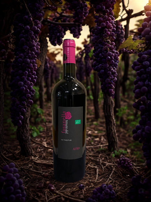 AGLIANICO PRIMITIVO AUSO IGP 2017-TENUTE DEL FASANELLA tenuta del fasanella