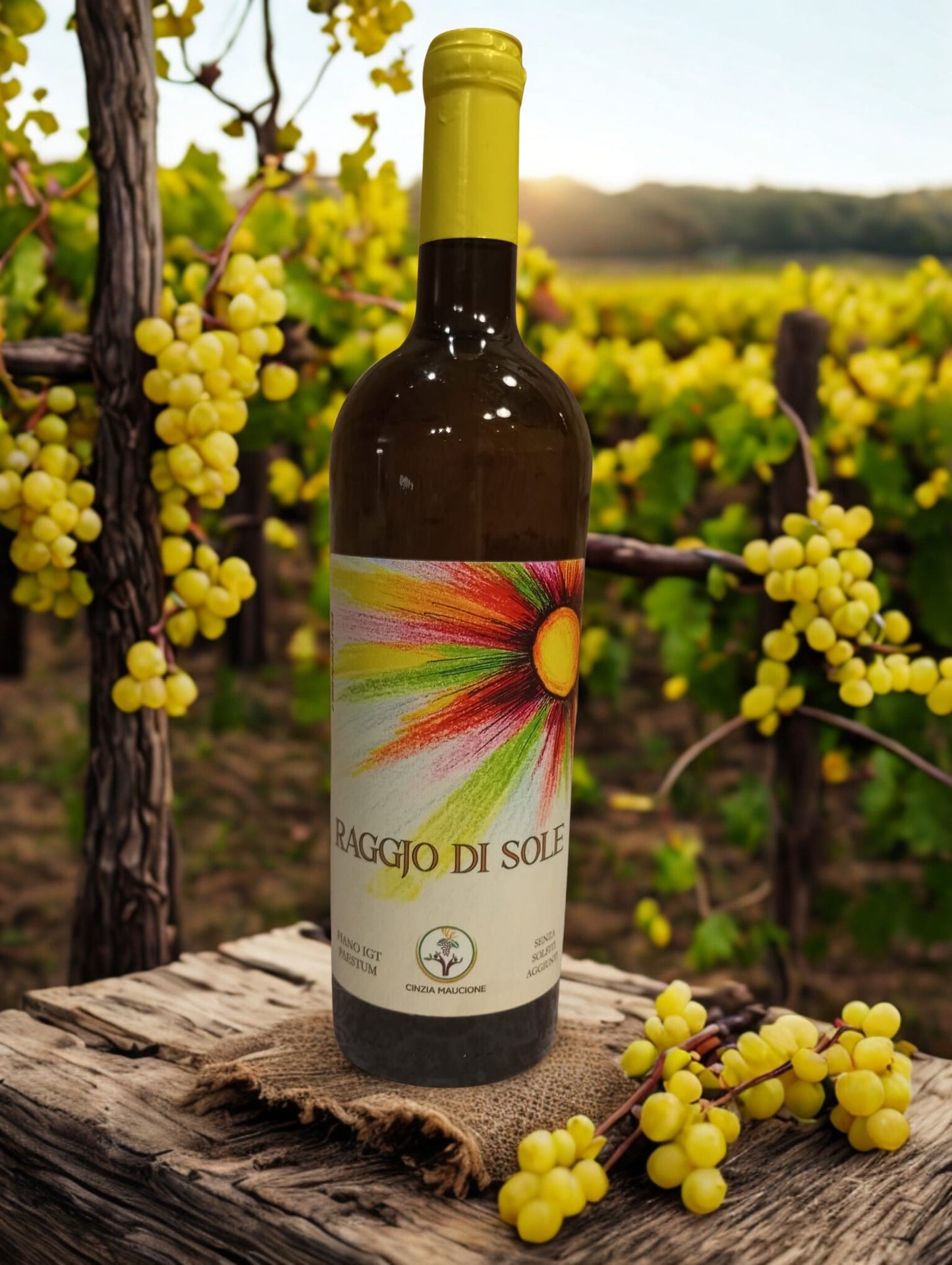 RAGGJO DI SOLE IGT Cinzia Maucione