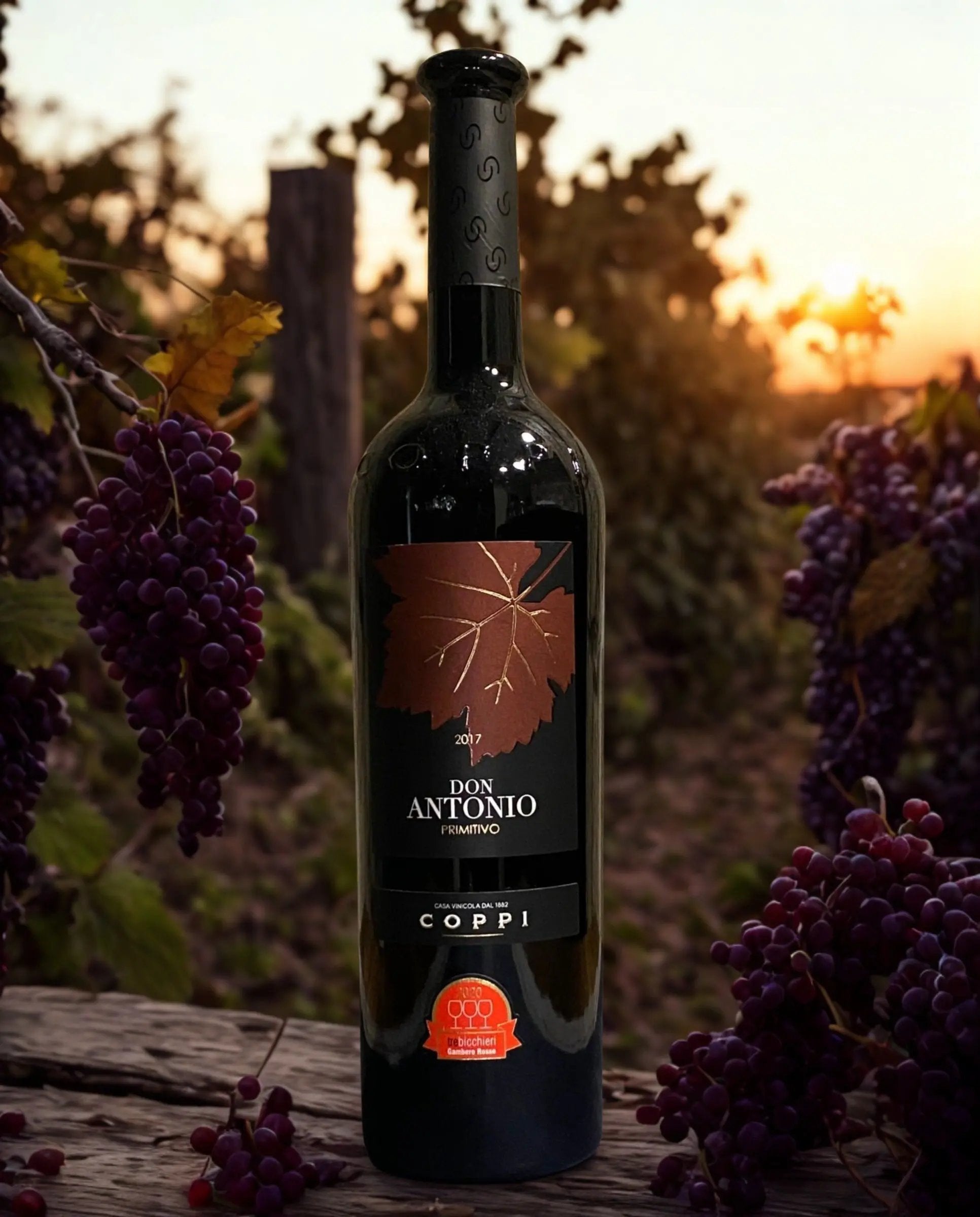 PRIMITIVO DON ANTONIO I.G.P. PUGLIA-2017-COPPI COPPI