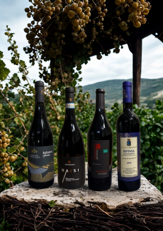🍷 “ROSSI DELLA CAMPANIA– BOX VINI ROSSI"