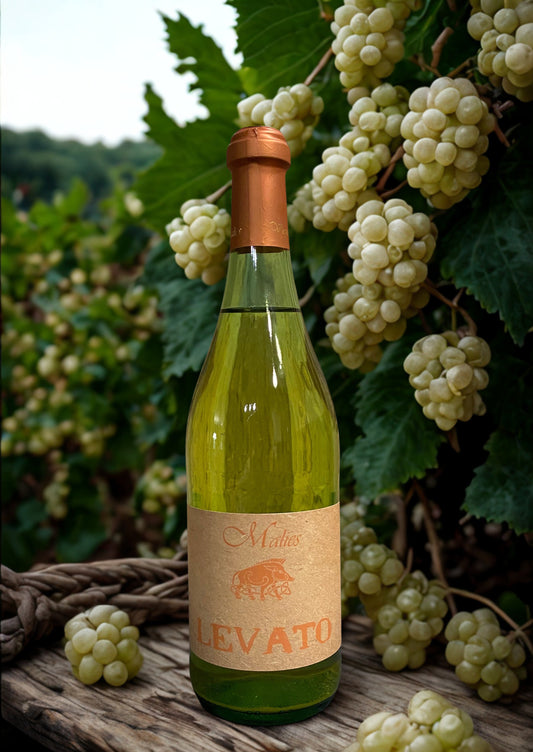 FALANGHINA LEVATO IGP - VIÑEDOS DE MALIES