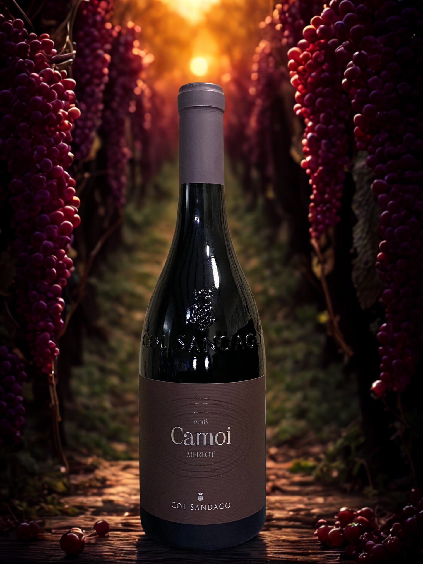 MERLOT CAMOI 2018-COL SANDAGO