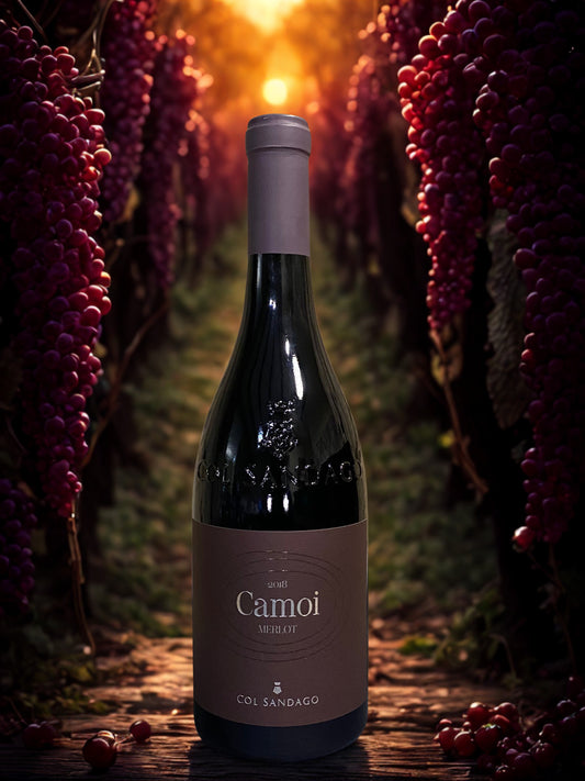 MERLOT CAMOI 2018-COL SANDAGO