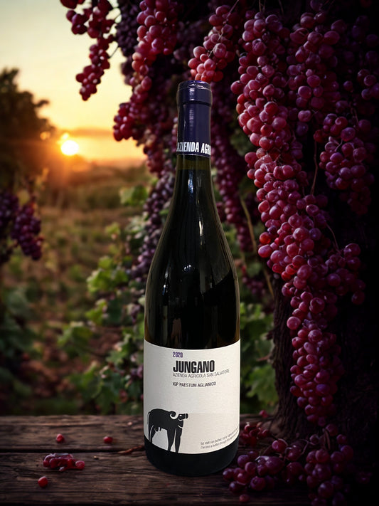 AGLIANICO JUNGANO IGP 2020-SAN SALVATORE