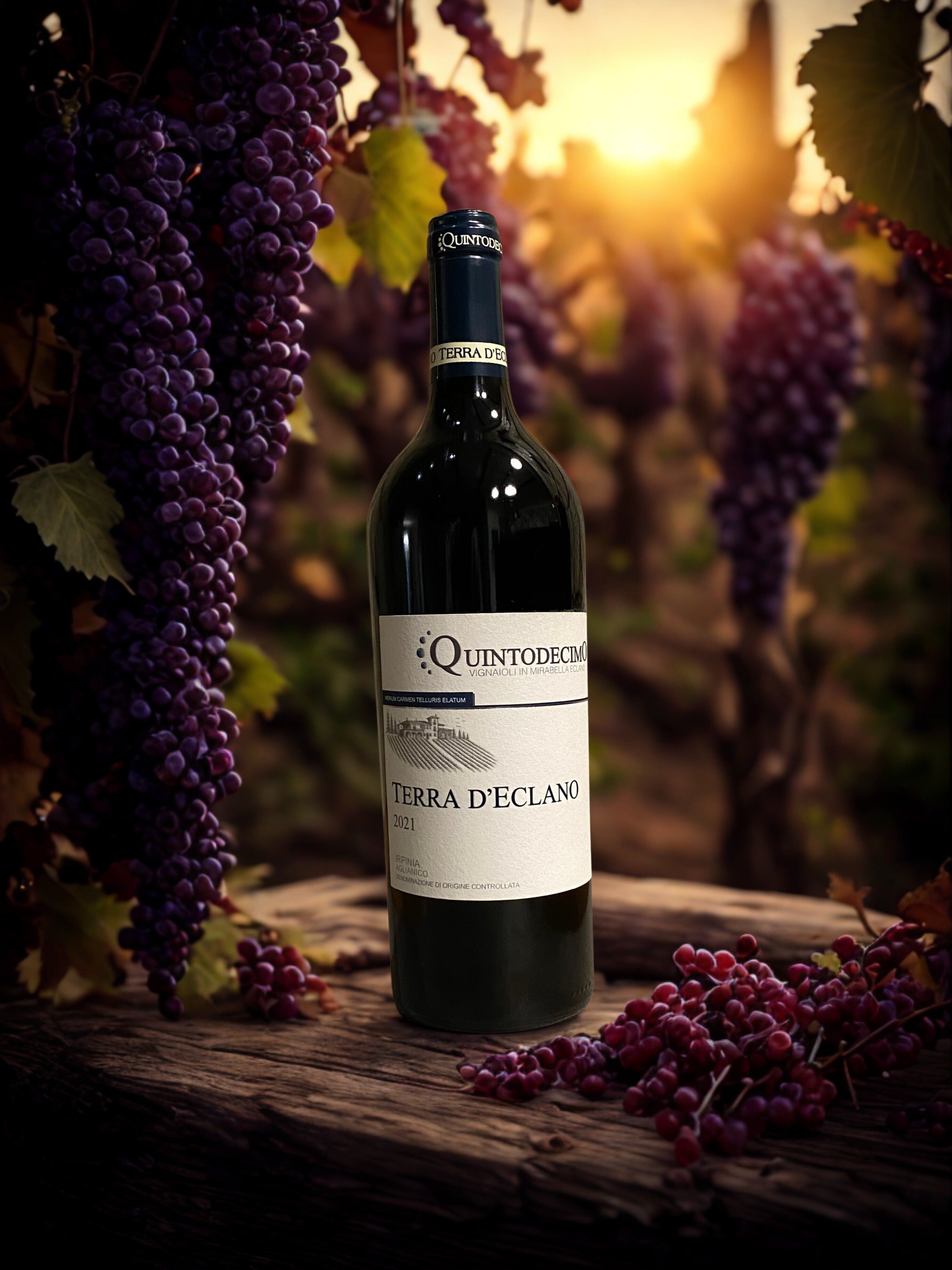 TERRA D'ECLANO-QUINTODECIMO QUINTODECIMO