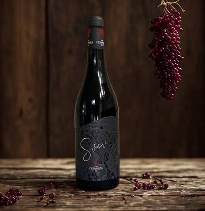 BUNDLE FIERAMOSCA Fast Bundle