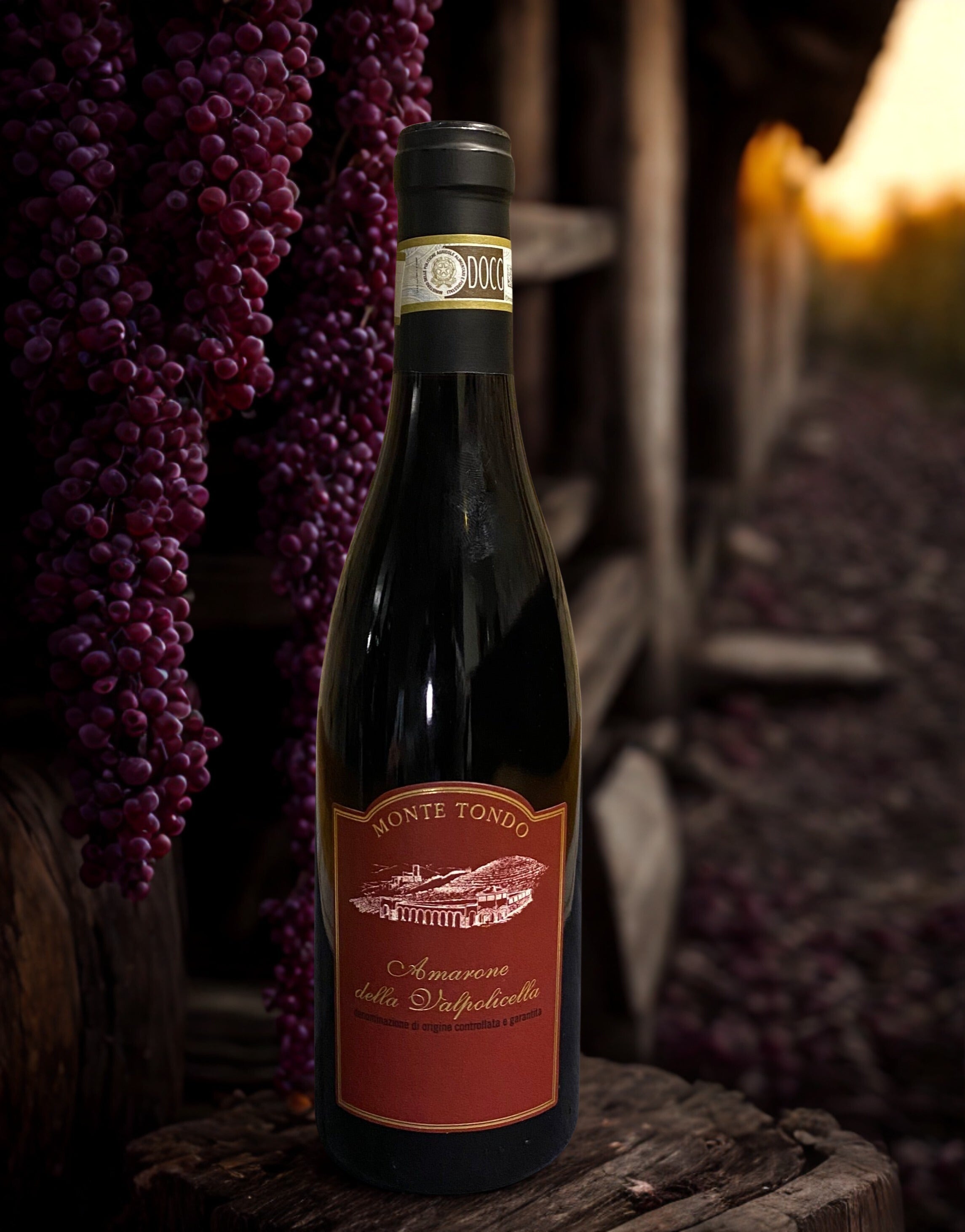 AMARONE DELLA VALPOLICELLA 2017 EDIZIONE 375ml Monte tondo