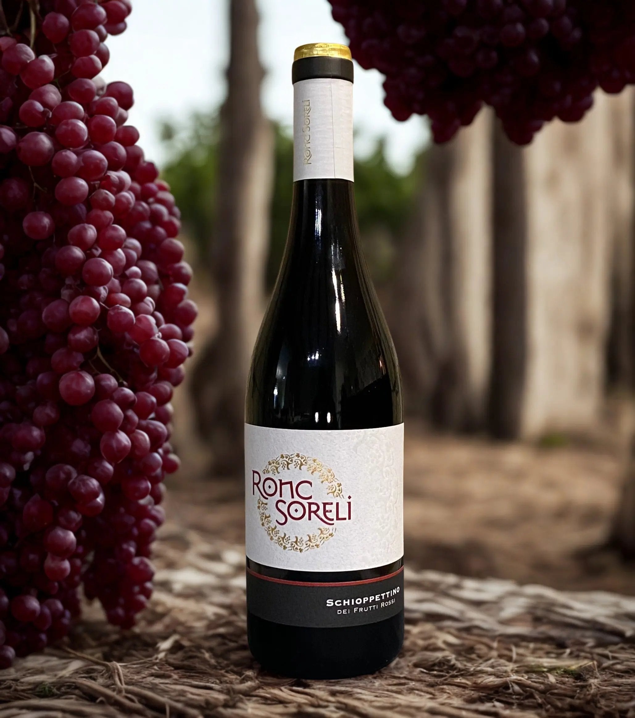 SCHIOPPETTINO DEI FRUTTI ROSSI-RONC SORELI Ronc Soreli