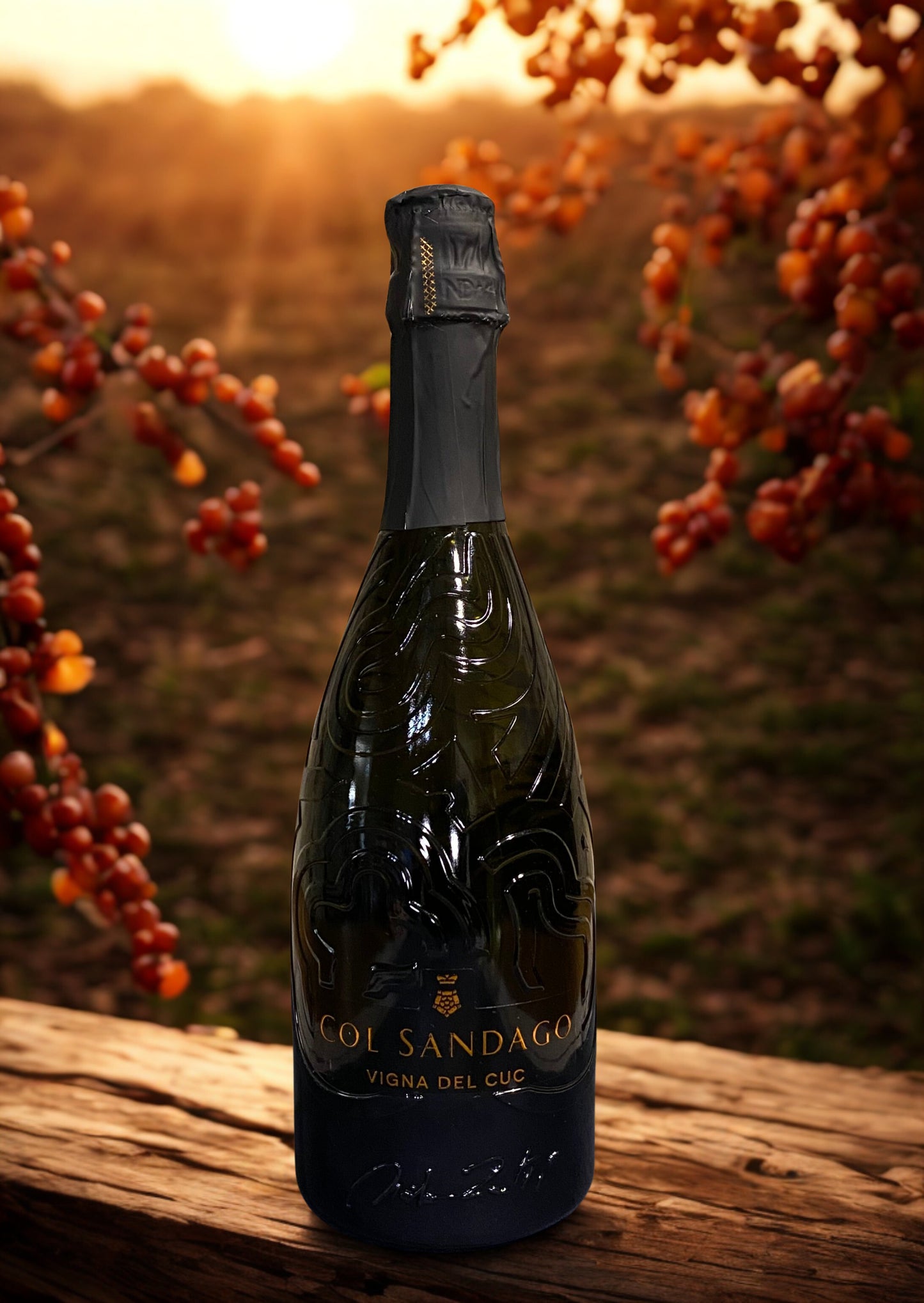 GLERA PROSECCO CUC-COL VIÑEDO SANDAGO