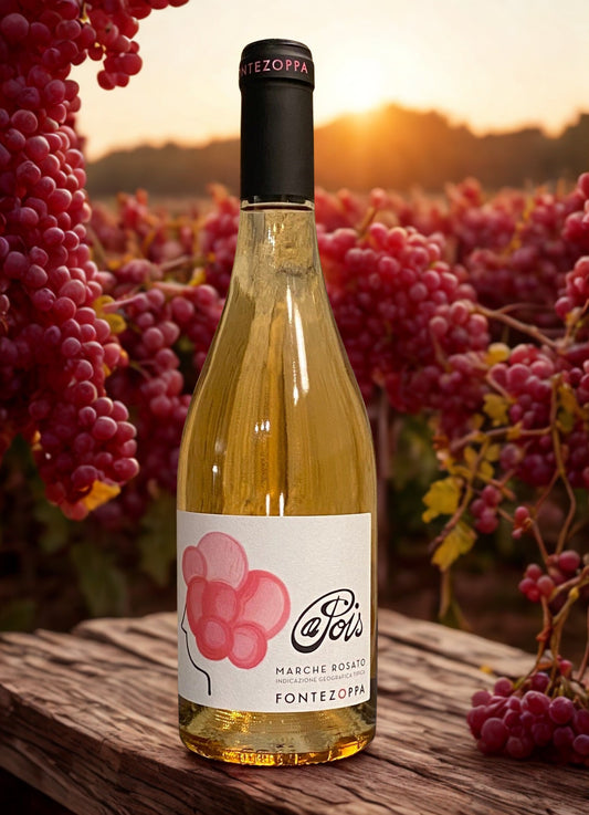 PINOT NOIR CON LUNARES - FONTEZOPPA