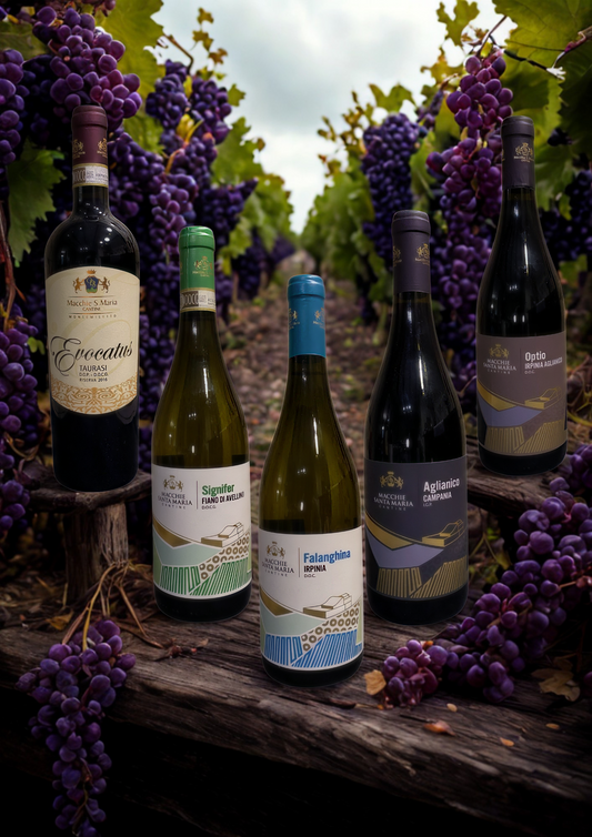 PAKET WEIN-MACCHIE SANTA MARIA