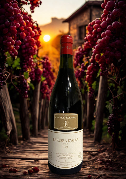 BARBERA D'ALBA DOC 2022-BRIC CENCIURIO