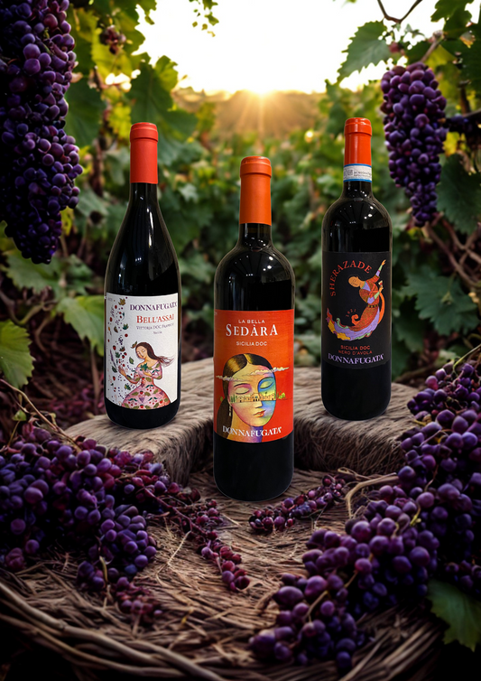 WEINPAKET-DONNAFUGATA