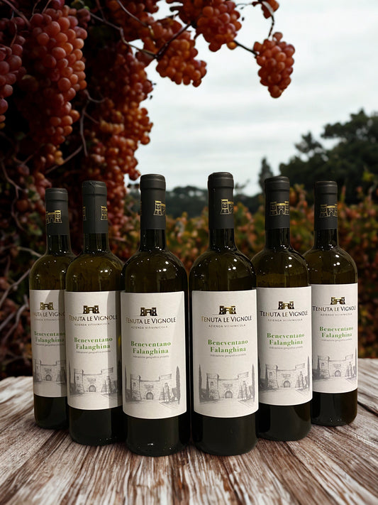 BÜNDEL BENEVENTANO FALANGHINA IGP 6 KAUFEN 5 ZAHLEN - TENUTA LE VIGNOLE