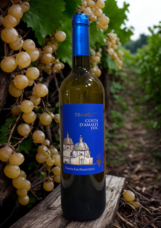 FALANGHINA TRAMONTI WHITE AMALFI COAST DOC 2022-TENUTA SAN FRANCESCO