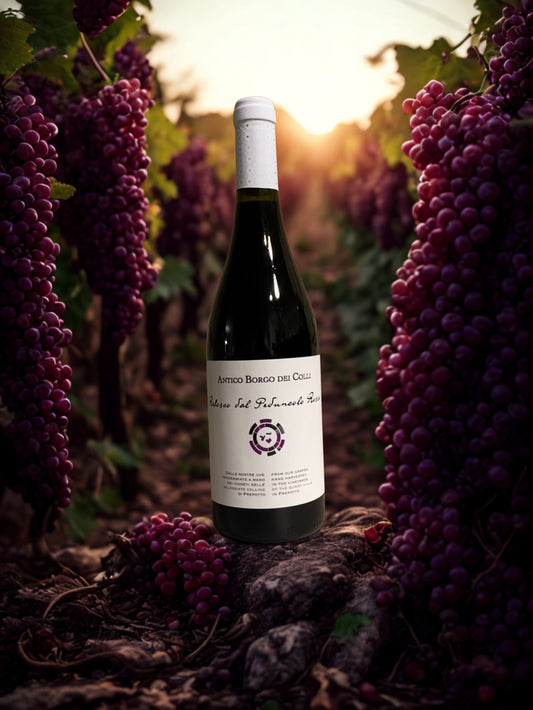 REFOSCO MIT ROTEM STAMM - ALTES DORF DER HÜGEL
