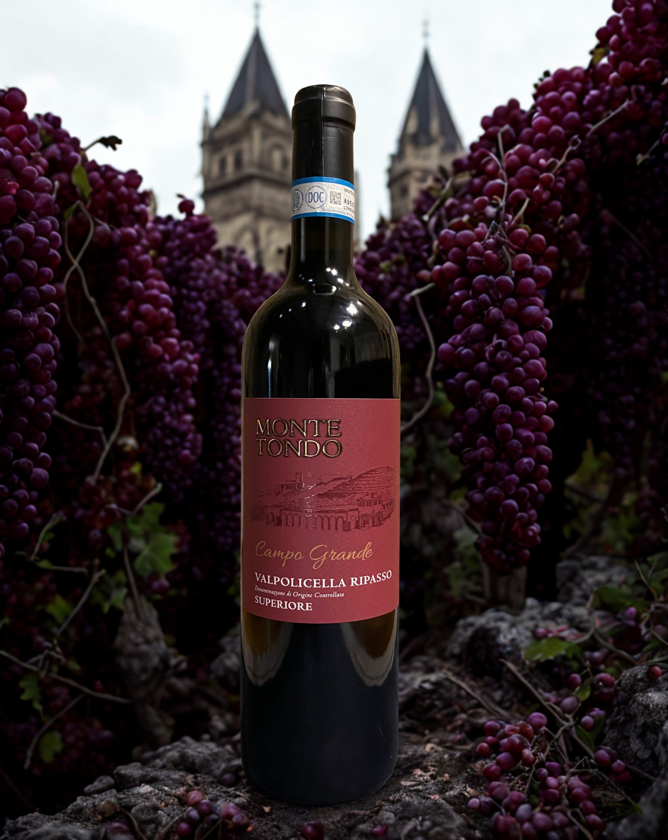 CORVINA RONDINELLA CAMPO GRANDE VALPOLICELLA RIPASSO 2020 Monte tondo