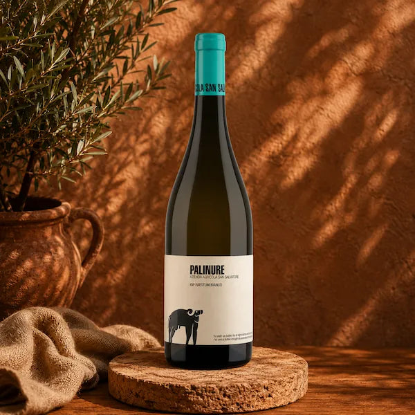 FALANGHINA PALINURE IGP 2022