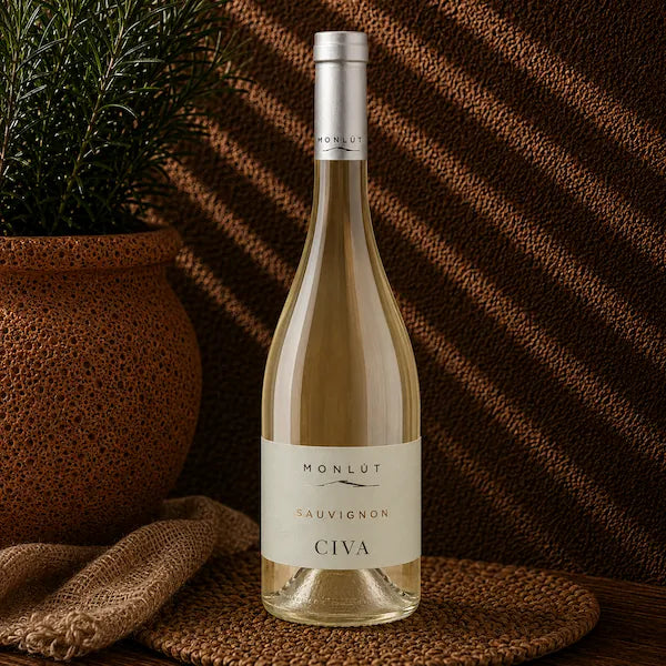 SAUVIGNON MONLUT DOC