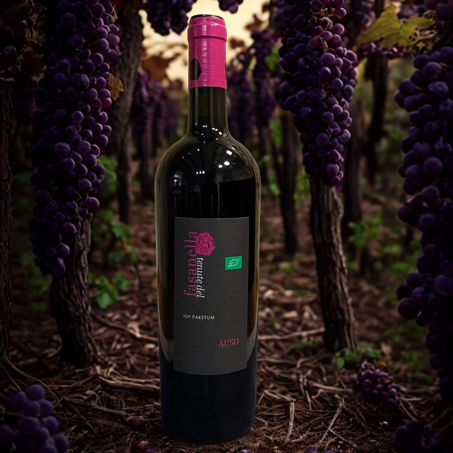 AGLIANICO PRIMITIVO AUSO IGP 2017