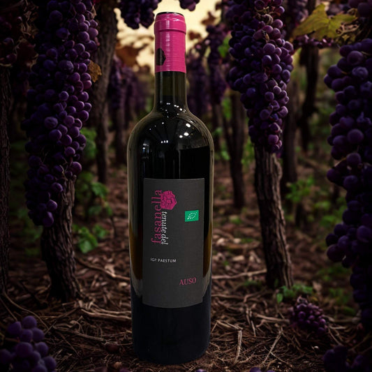 AGLIANICO PRIMITIVO AUSO IGP 2017