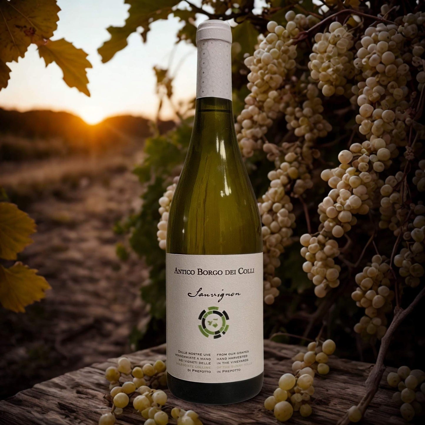 SAUVIGNON DOC