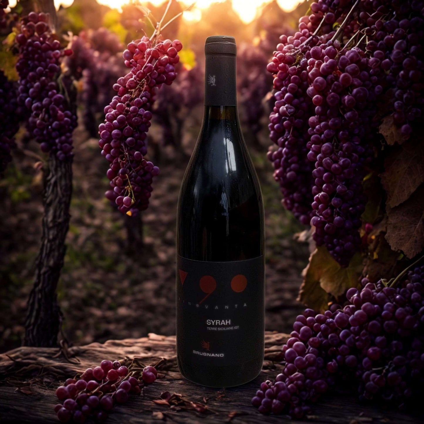 V 90 SYRAH