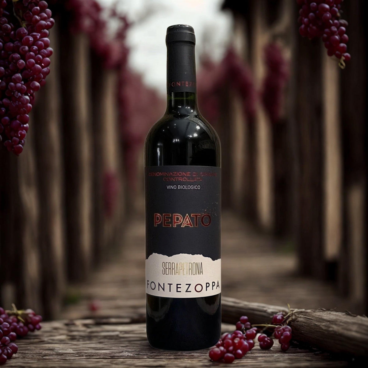 SCHWARZE VERNACCIA-PFEFFER-FONTEZOPPA