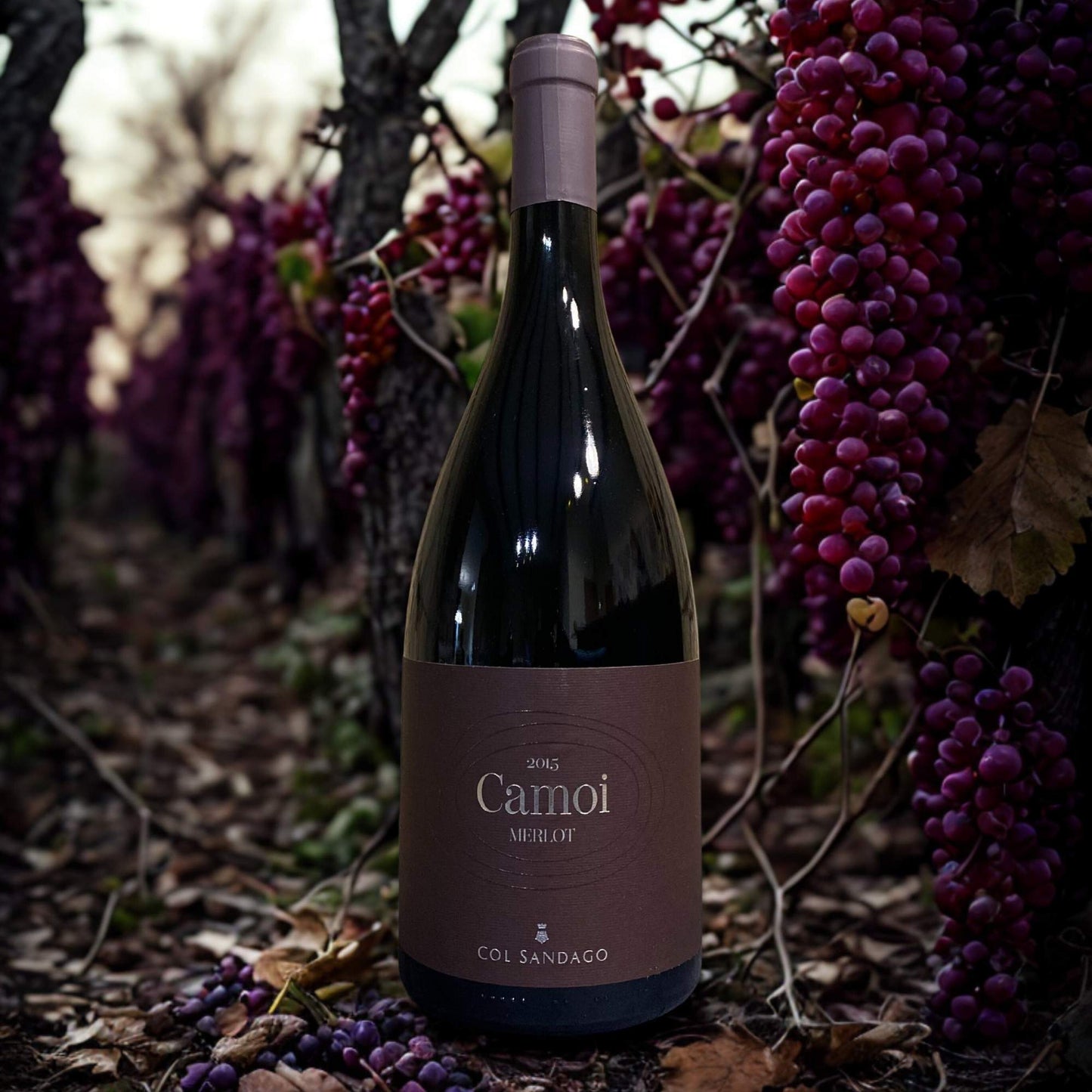 MERLOT CAMOI 2018 1,5L