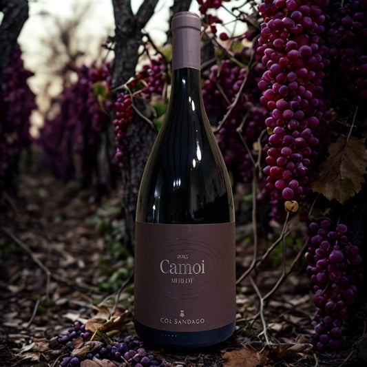 MERLOT CAMOI 2018 1,5L