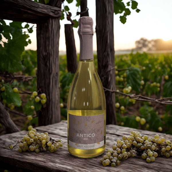 PROSECCO ANTICO DOCG COL SANDAGO