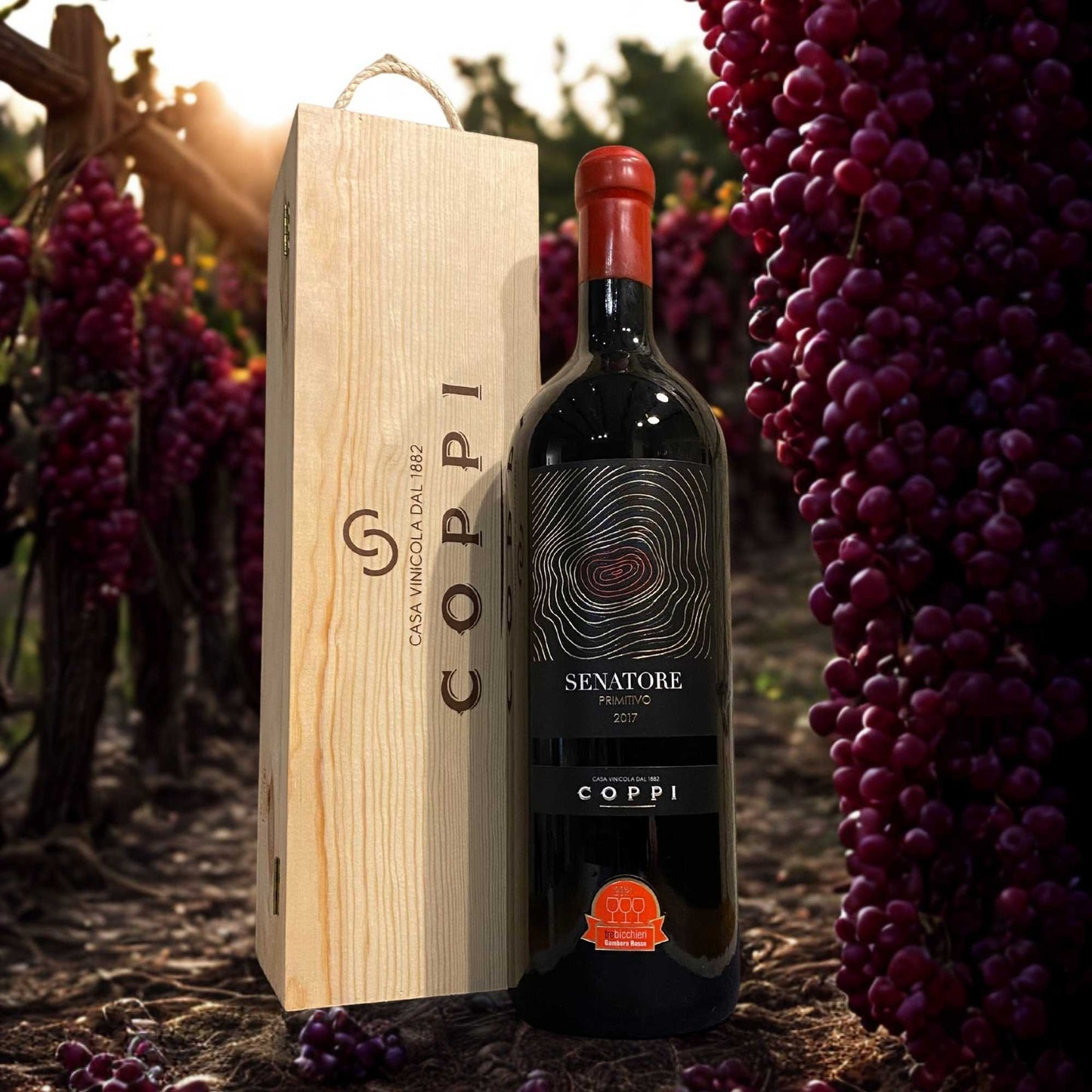 PRIMITIVO SENATORE D.O.C. GIOIA DEL COLLE 3L