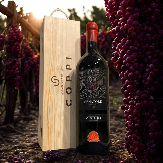 PRIMITIVO SENATORE D.O.C. GIOIA DEL COLLE 3L