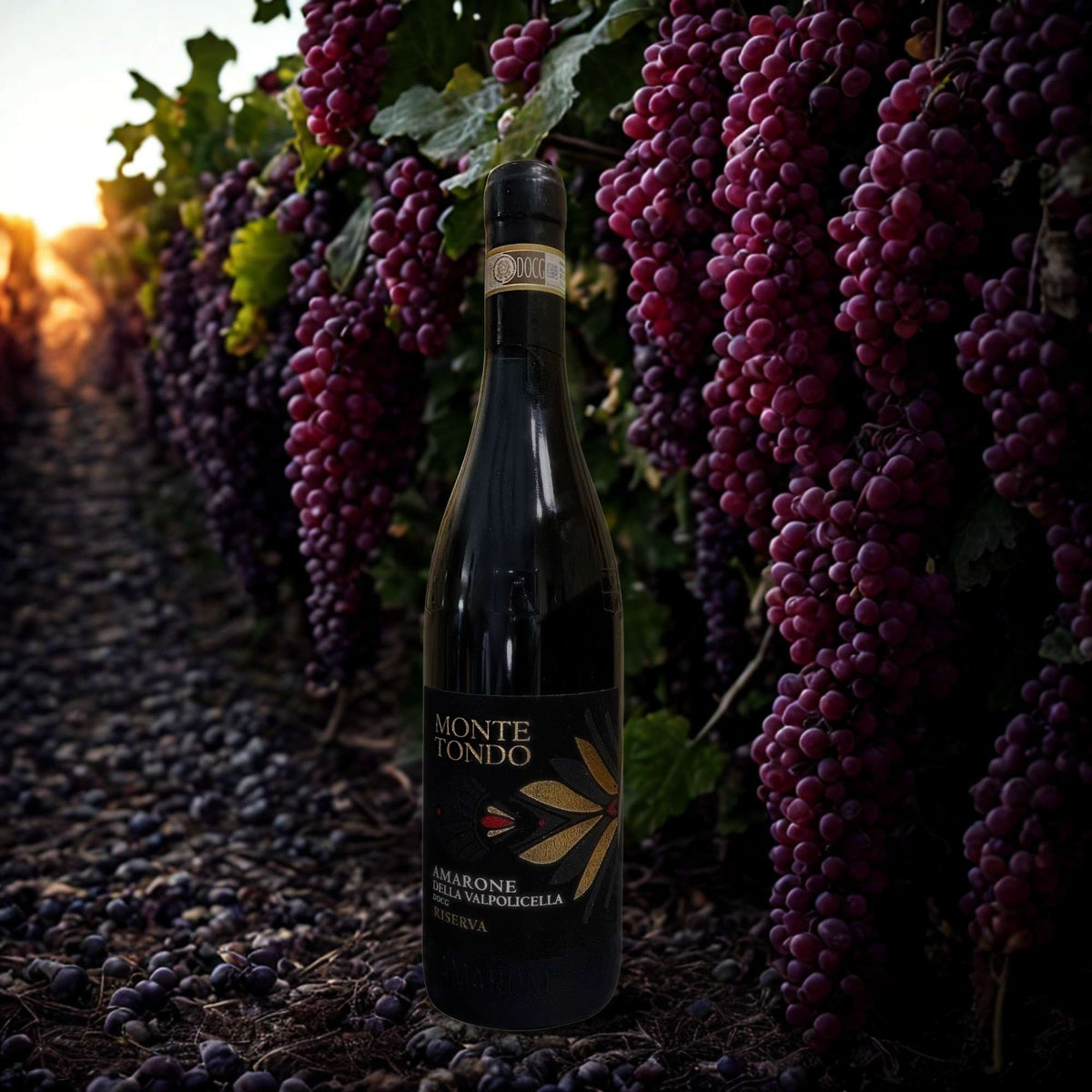AMARONE DELLA VALPOLICELLA DOCG RISERVA 2017