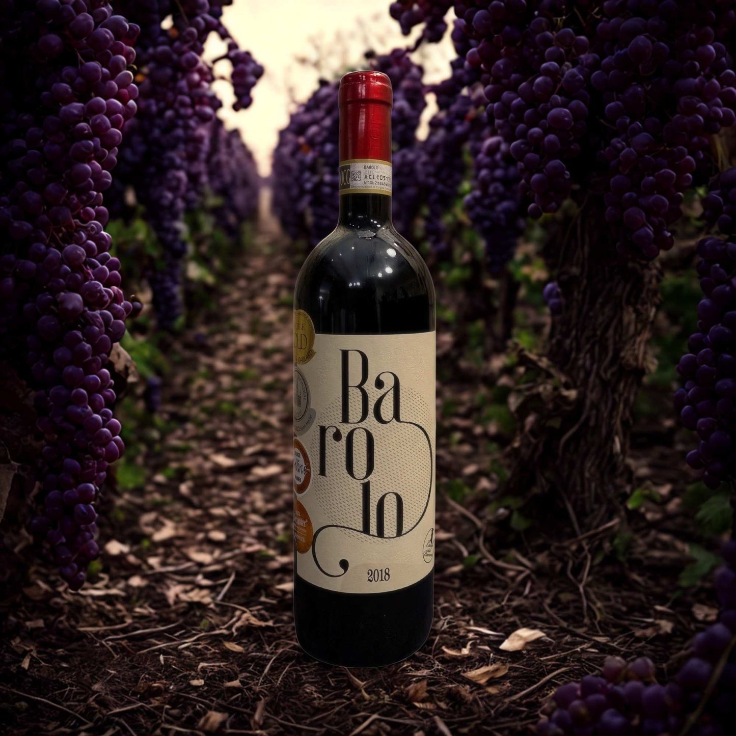 BAROLO DOCG 2019