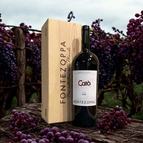 SANGIOVESE CATÒ 1.5L-FONTEZOPPA