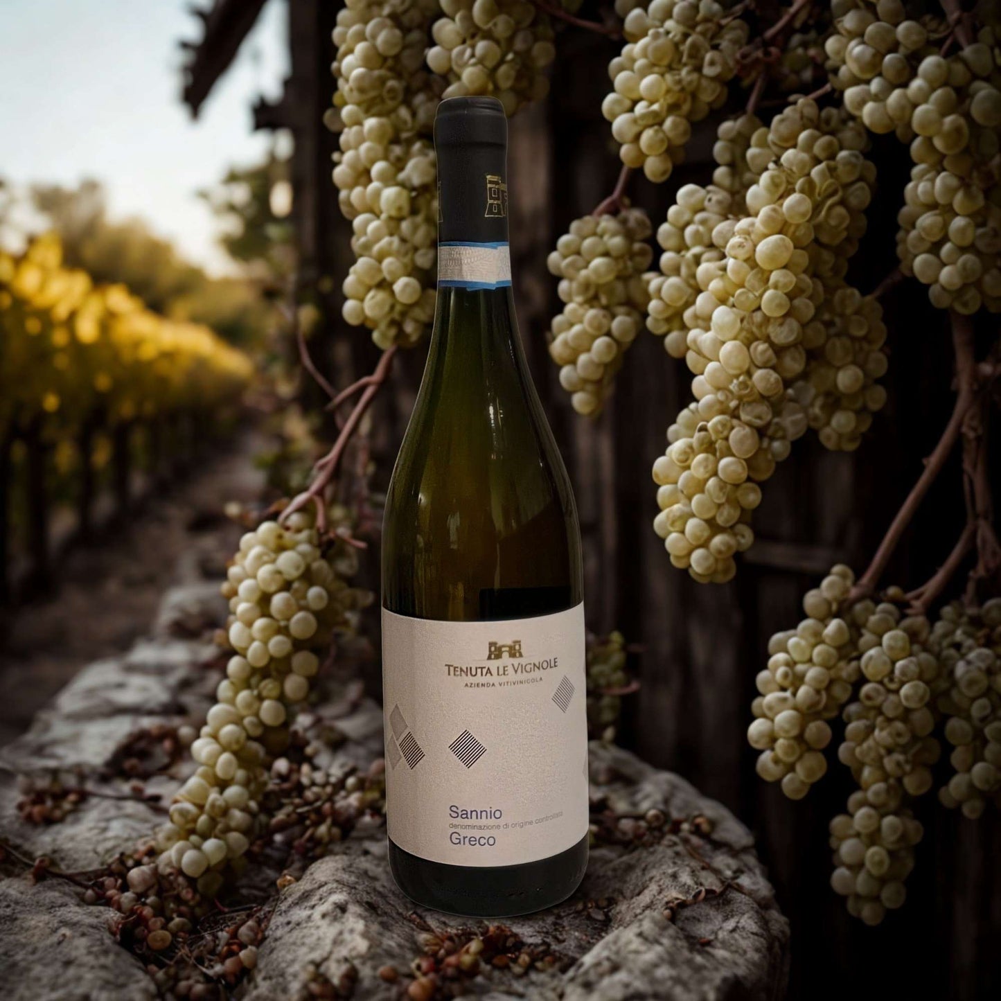 GRECO DEL SANNIO DOC