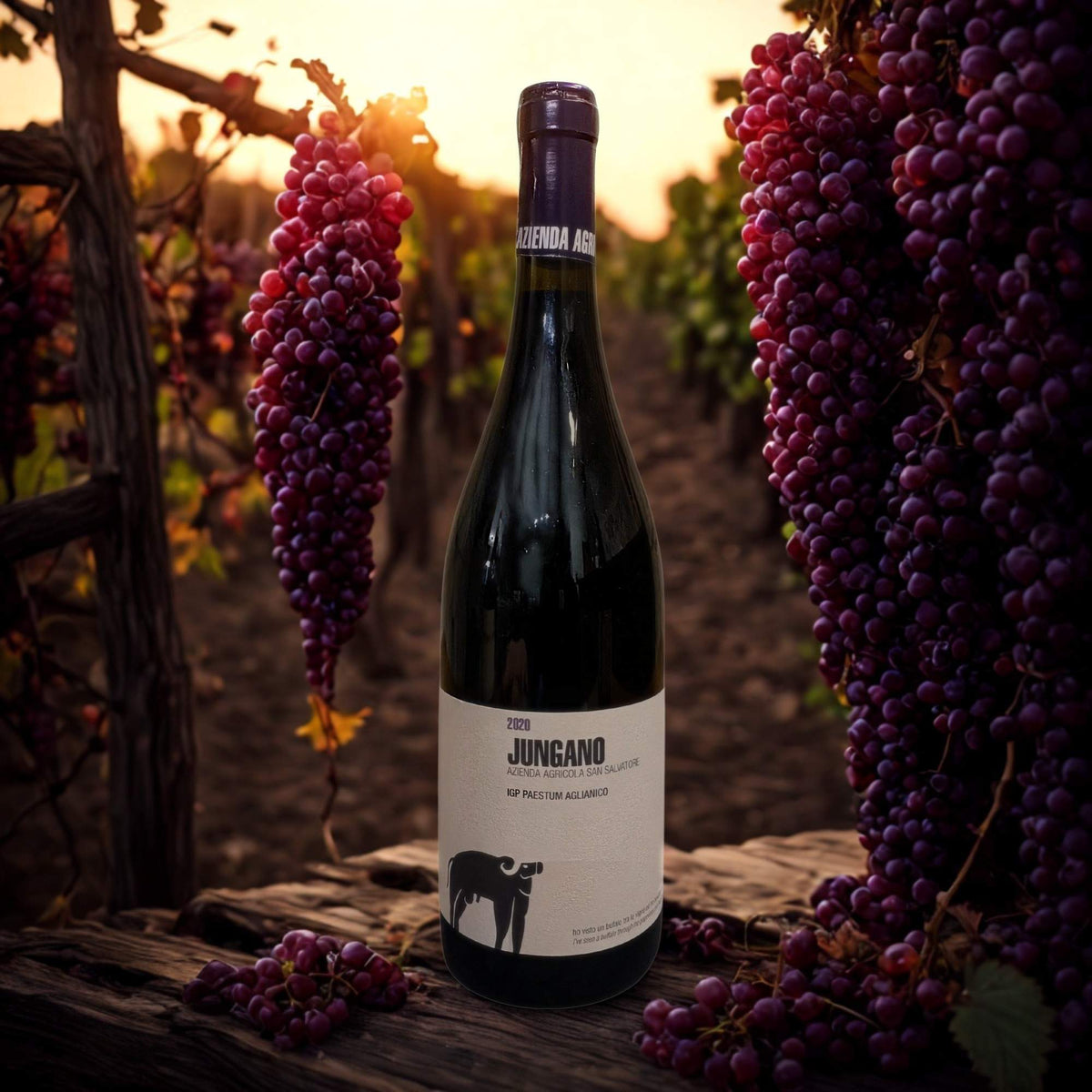 AGLIANICO JUNGANO IGP 2020