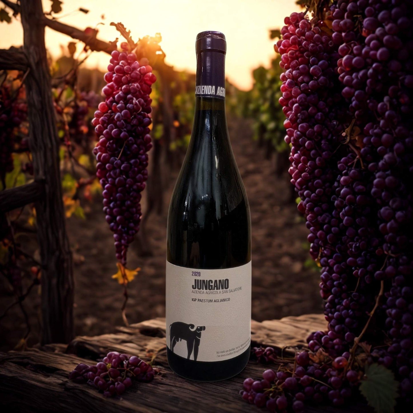 AGLIANICO JUNGANO IGP 2020